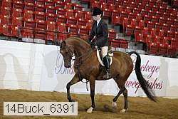 14buck_6391 proof