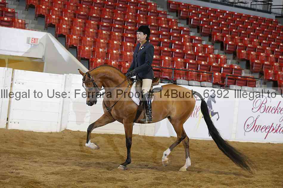 Proof 14buck_6392