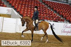 14buck_6392 proof