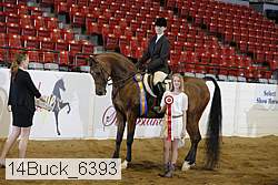 14buck_6393 proof