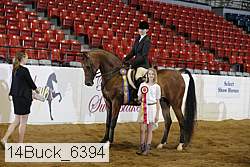 14buck_6394 proof