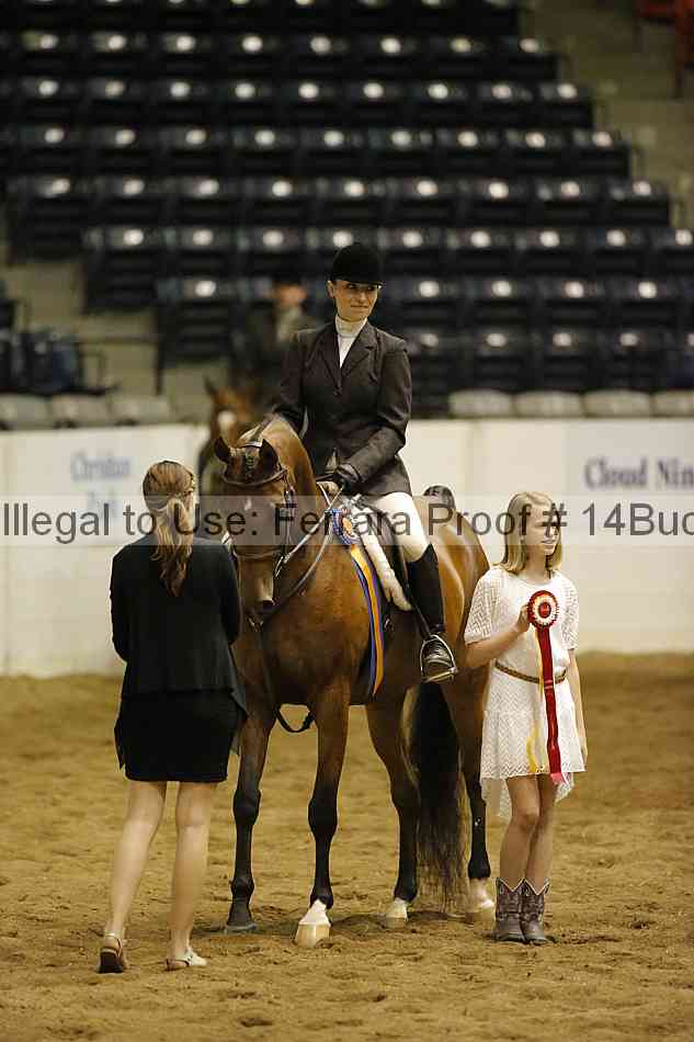 Proof 14buck_6396