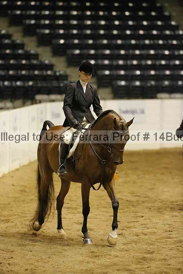 Proof 14buck_6397
