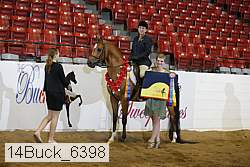 14buck_6398 proof