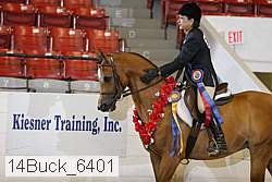 14buck_6401 proof
