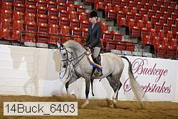 14buck_6403 proof