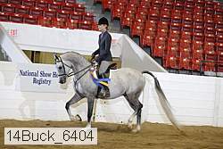 14buck_6404 proof