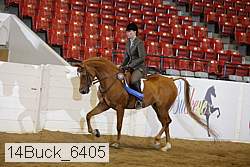 14buck_6405 proof
