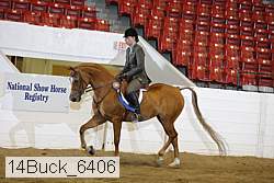 14buck_6406 proof