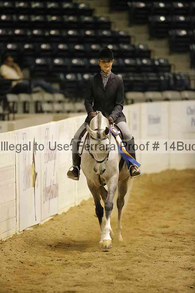 Proof 14buck_6407