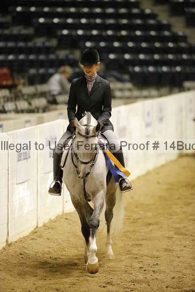 Proof 14buck_6408