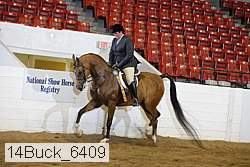 14buck_6409 proof