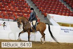 14buck_6410 proof