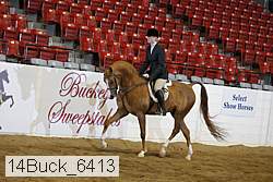14buck_6413 proof