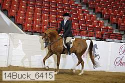 14buck_6415 proof