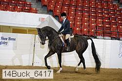 14buck_6417 proof
