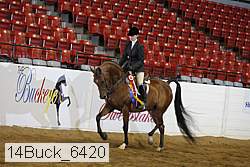 14buck_6420 proof
