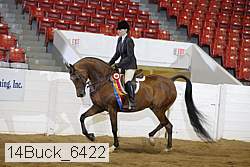 14buck_6422 proof