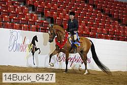 14buck_6427 proof