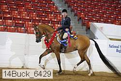 14buck_6429 proof