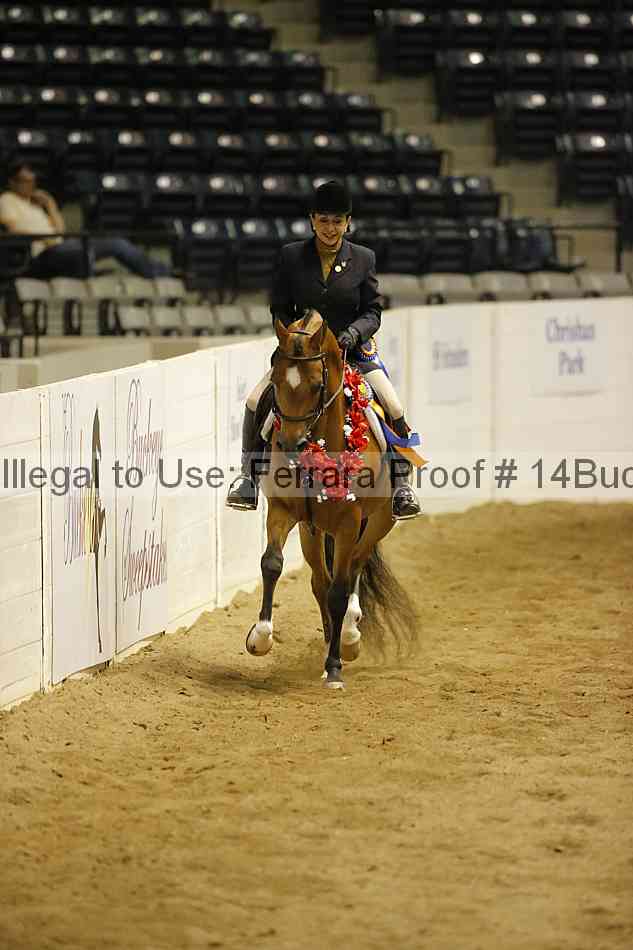 Proof 14buck_6430