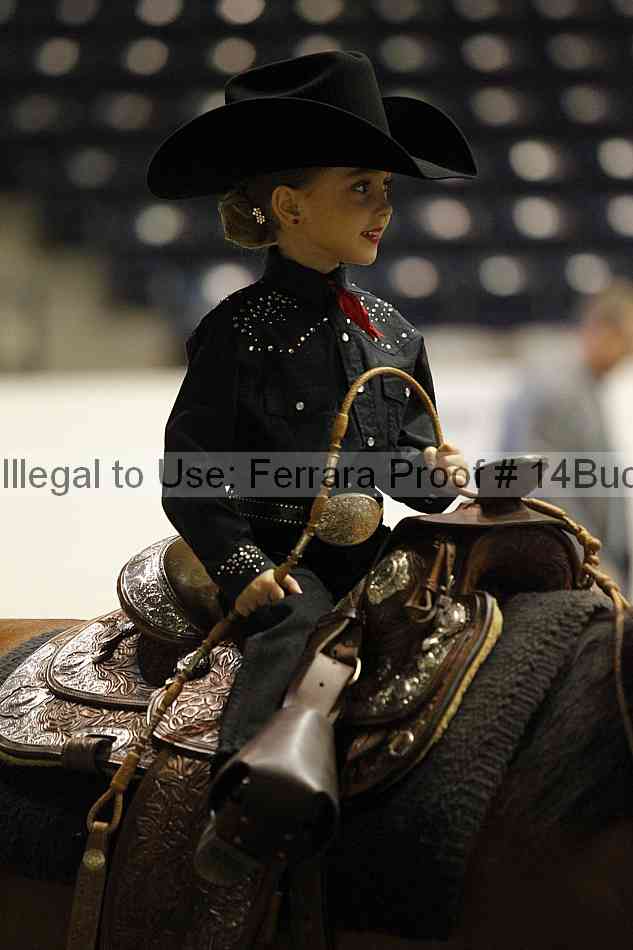 Proof 14buck_2872