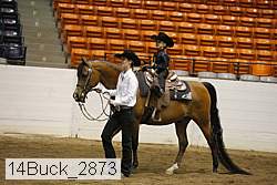 14buck_2873 proof