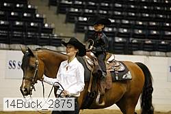 14buck_2875 proof