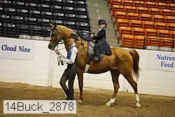 14buck_2878 proof