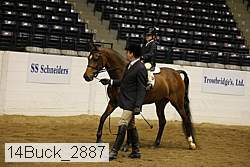 14buck_2887 proof