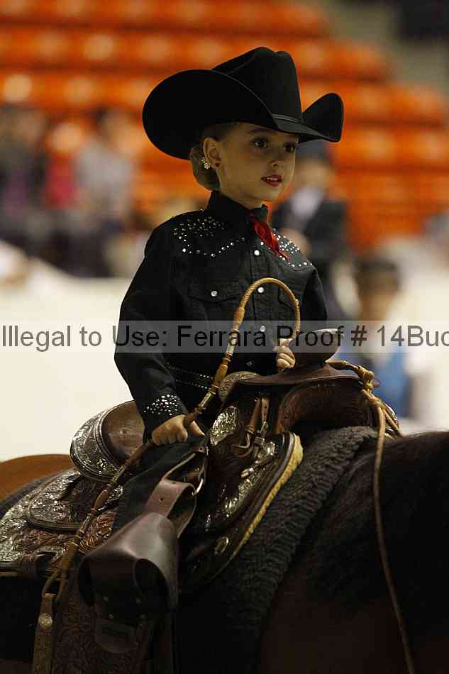 Proof 14buck_2902