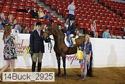 14buck_2925 proof