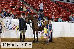 14buck_2926 proof