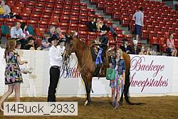 14buck_2933 proof