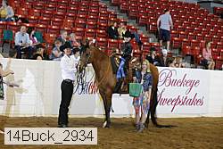 14buck_2934 proof