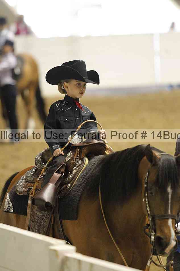 Proof 14buck_2935