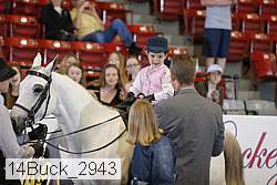 14buck_2943 proof