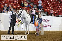 14buck_2946 proof