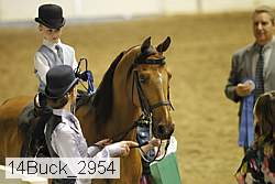 14buck_2954 proof