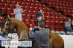 14buck_2963 proof