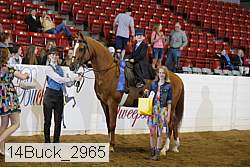 14buck_2965 proof