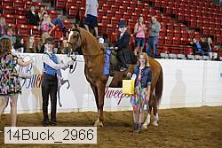 14buck_2966 proof
