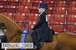 14buck_2969 proof