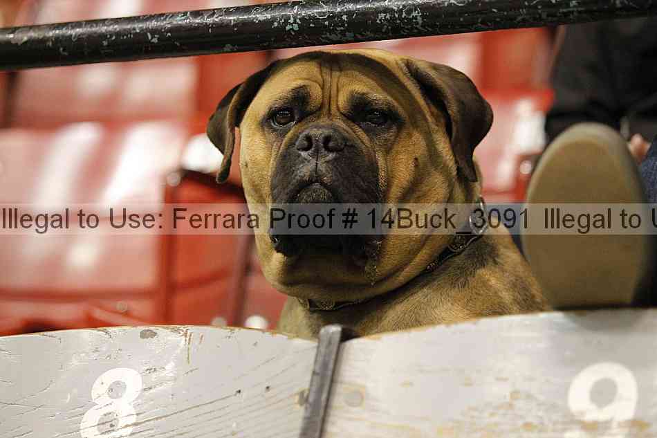 Proof 14buck_3091