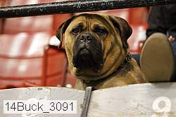 14buck_3091 proof
