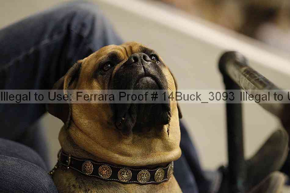 Proof 14buck_3093