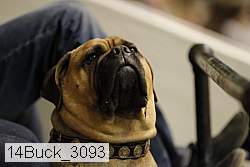 14buck_3093 proof