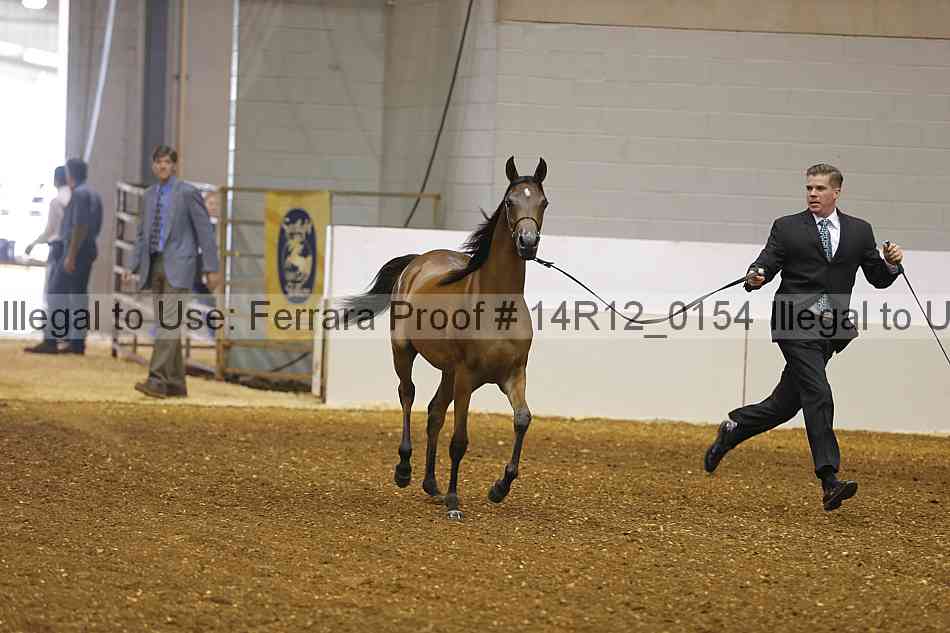 Proof 14r12_0154