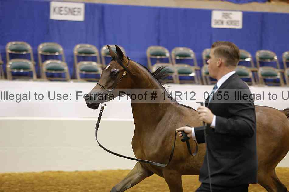 Proof 14r12_0155