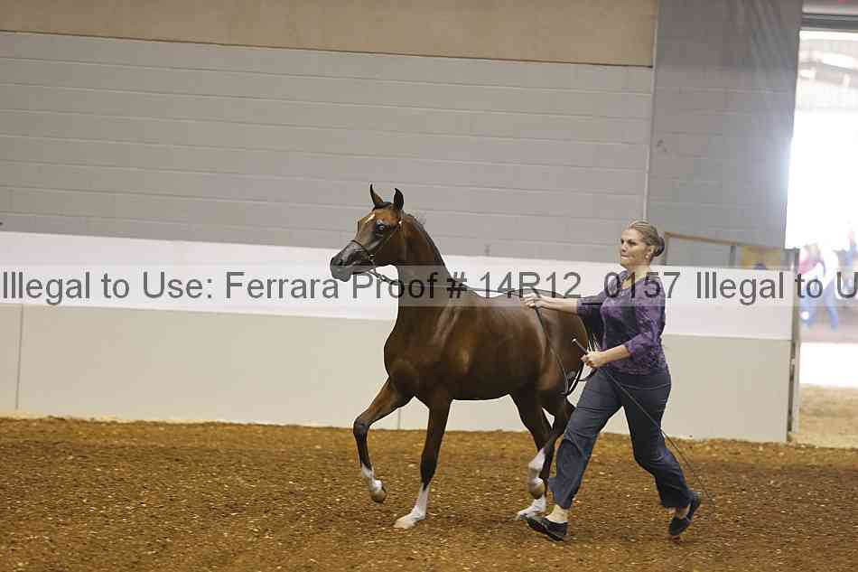 Proof 14r12_0157